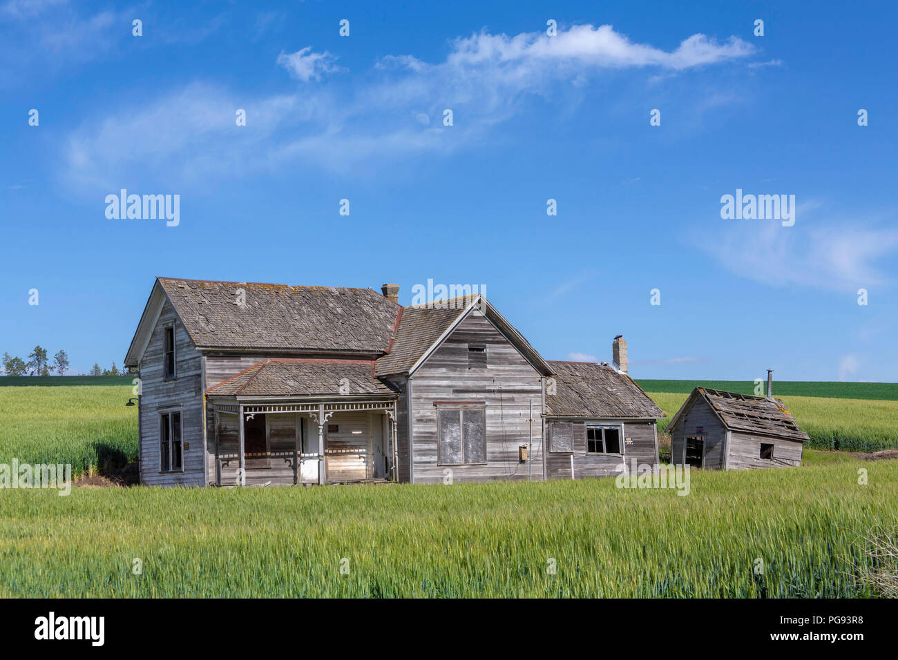 Antica casa colonica circondata da colture in Pullman Washington Foto Stock