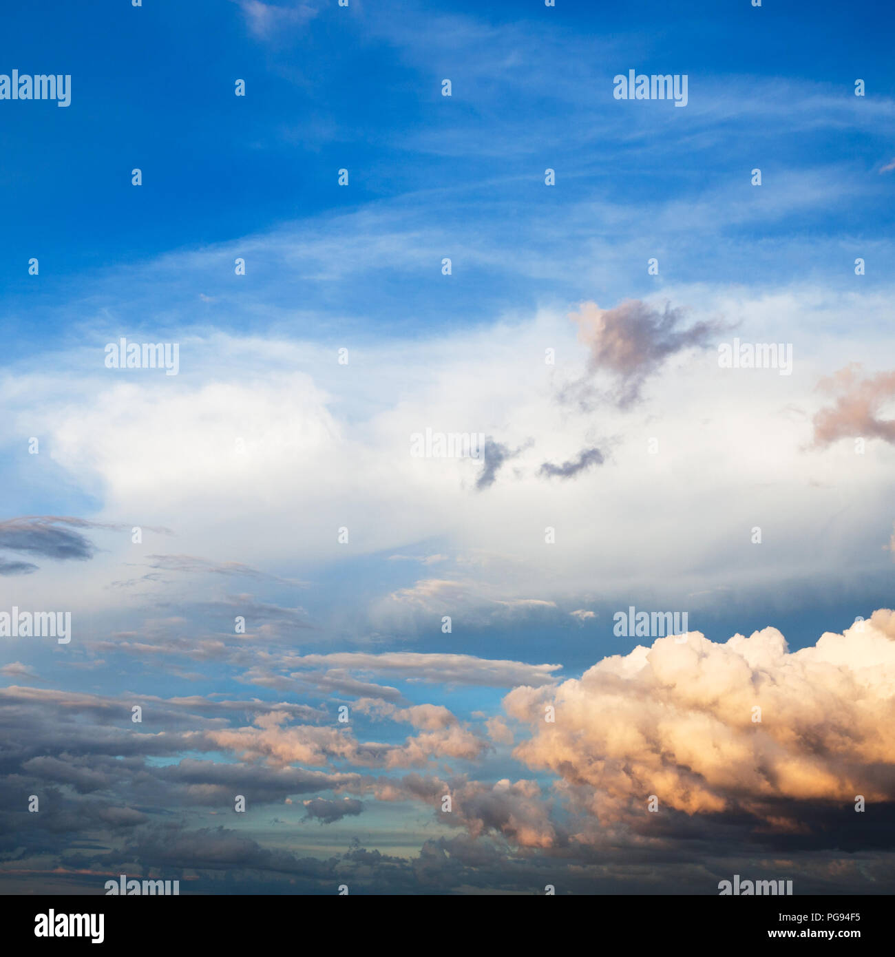 Bianco e rosa cumuli nubi nel cielo blu scuro su Mosca in serata estiva Foto Stock
