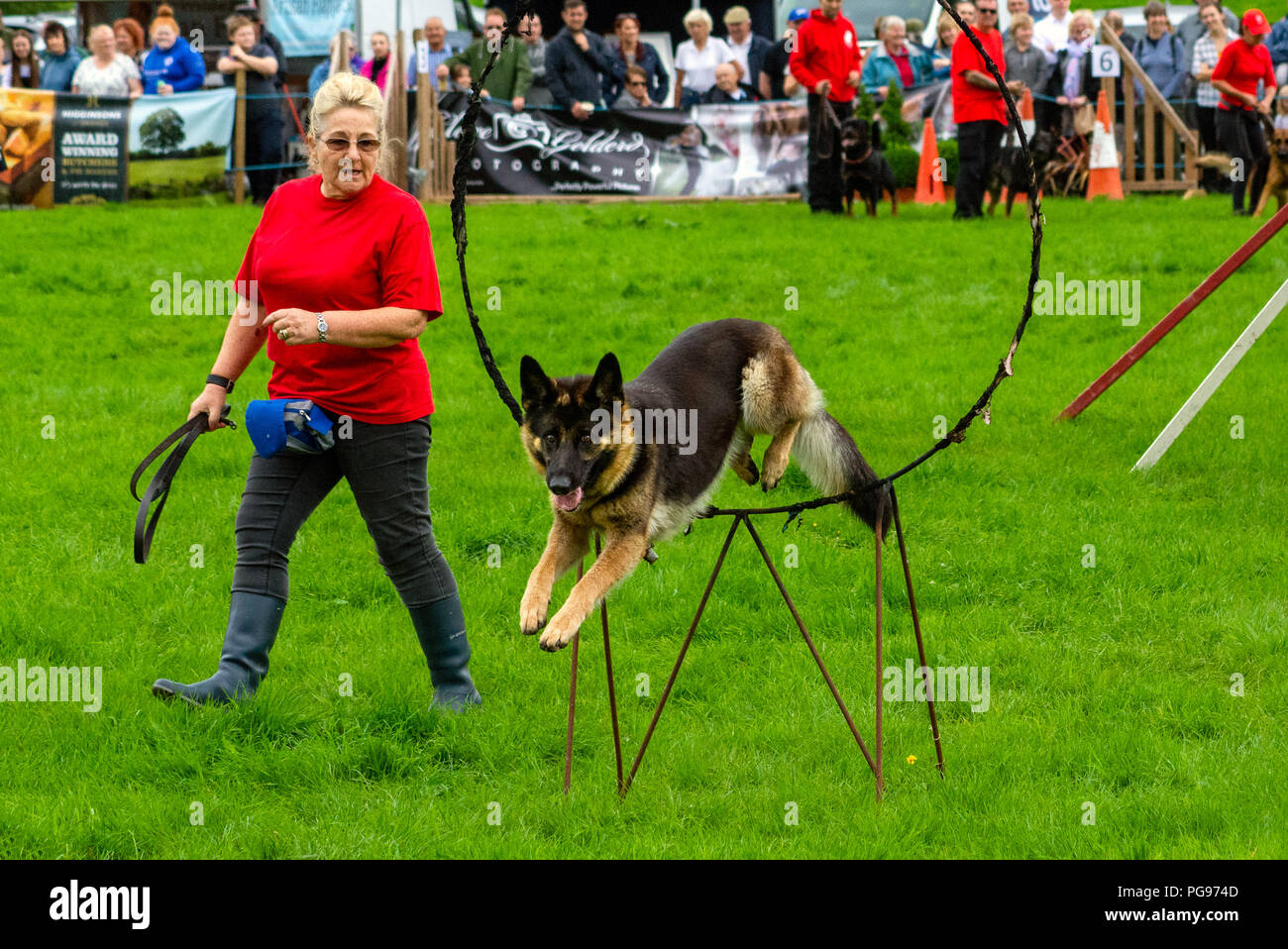 Il Shaun Raywood Display Dog Team a Hawkshead mostrano in Cumbria Foto Stock
