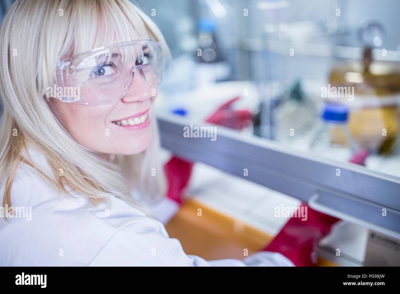 Tecnico di laboratorio utilizzando una cappa a flusso laminare, spessi guanti e occhiali di protezione mentre si lavora con sostanze chimiche pericolose. Foto Stock