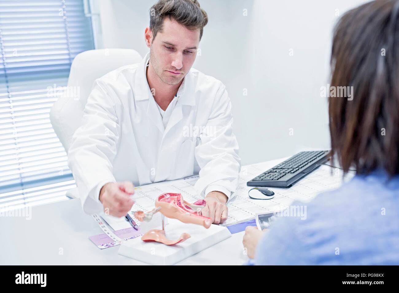 Clinica di fertilità di consultazione. Medico che mostra un paziente un modello dell'apparato riproduttivo femminile. Foto Stock