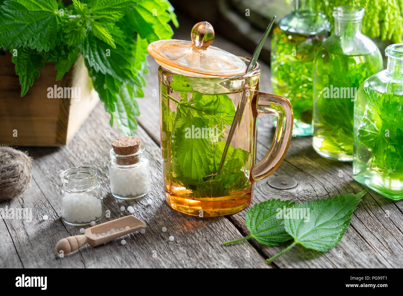 Salutare tè di ortica, bottiglie di infusione, Ortica piante e bottiglia di globuli omeopatici su un tavolo di legno. L'omeopatia e la medicina di erbe. Foto Stock