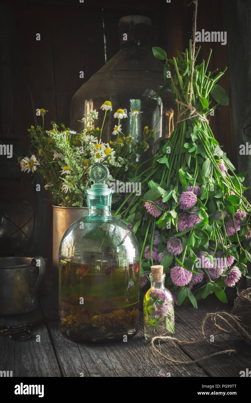 Tintura di trifoglio o infusione, essenziali in bottiglia di olio e di erbe officinali grappoli all'interno del retro della casa di villaggio. La medicina di erbe. Foto Stock