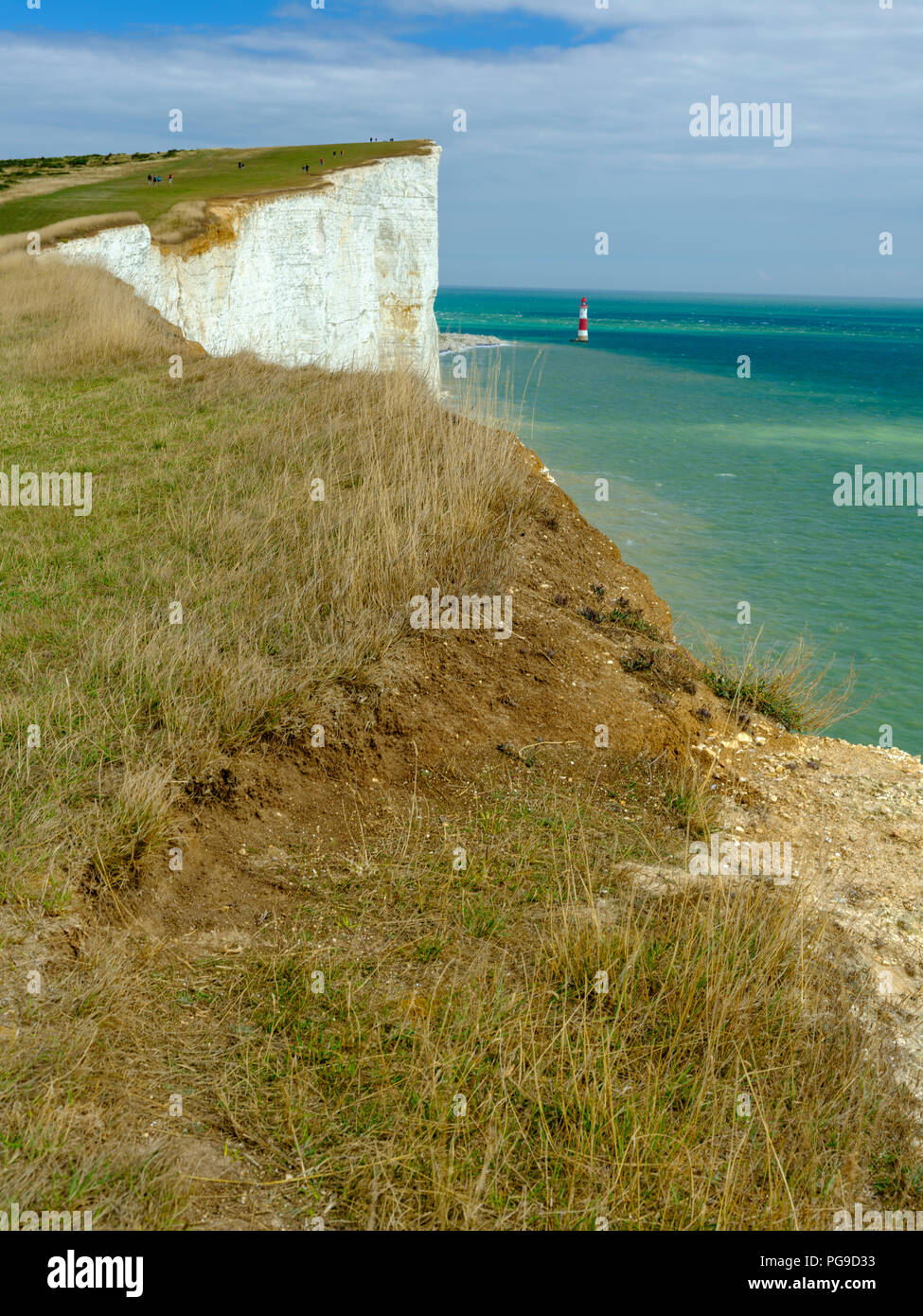 Pomeriggio di estate luce su Beachy Head Light House da vicino la Birling Gap, nel South Downs National Park, East Sussex, Regno Unito Foto Stock