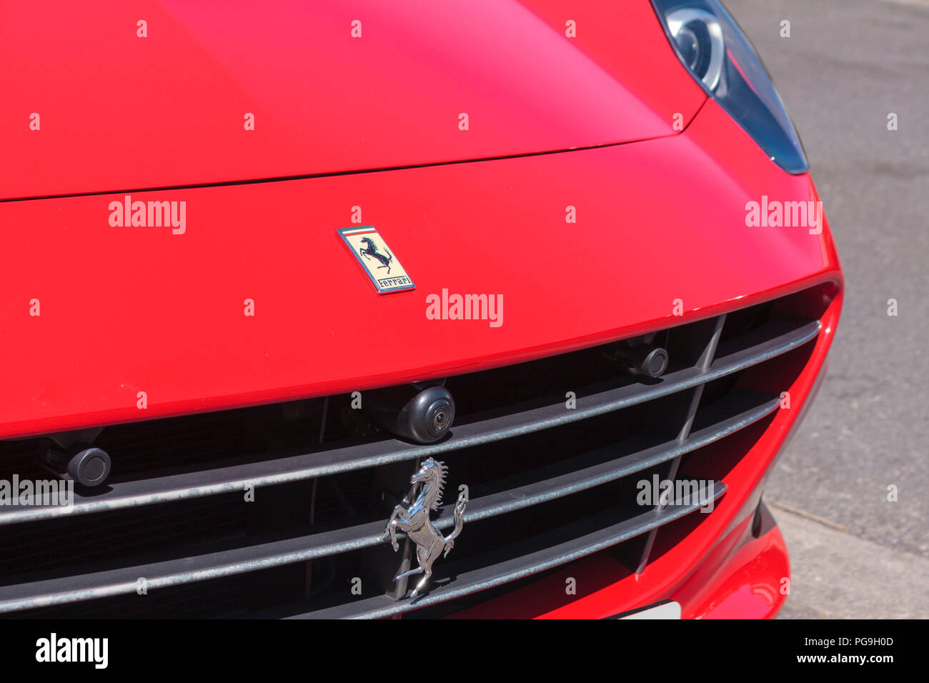 Immagine della parte frontale di un rosso Ferrari auto sportive, mostrando l'iconica cavallino rampante il badge Foto Stock