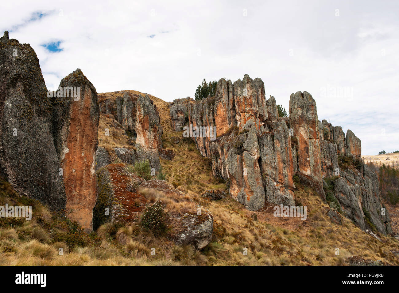 Foreste di pietra di Cumbe Mayo. Los Frailones sono massicci pilastri vulcanica, alcune alte 60 piedi (18 m). Cajamarca, Perù. Lug 2018 Foto Stock