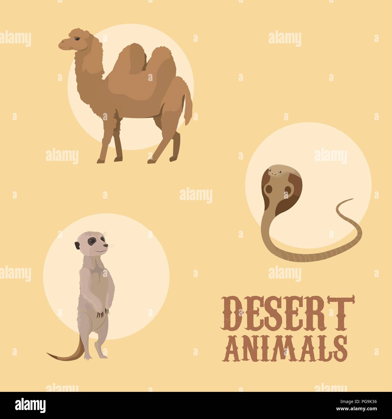 Gli animali del deserto cartoon Illustrazione Vettoriale
