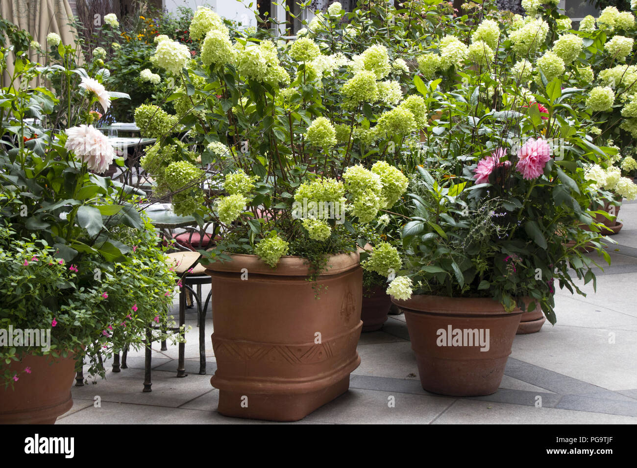 Il cortile, Petersham vivai, King Street, Covent Garden, Londra Foto Stock