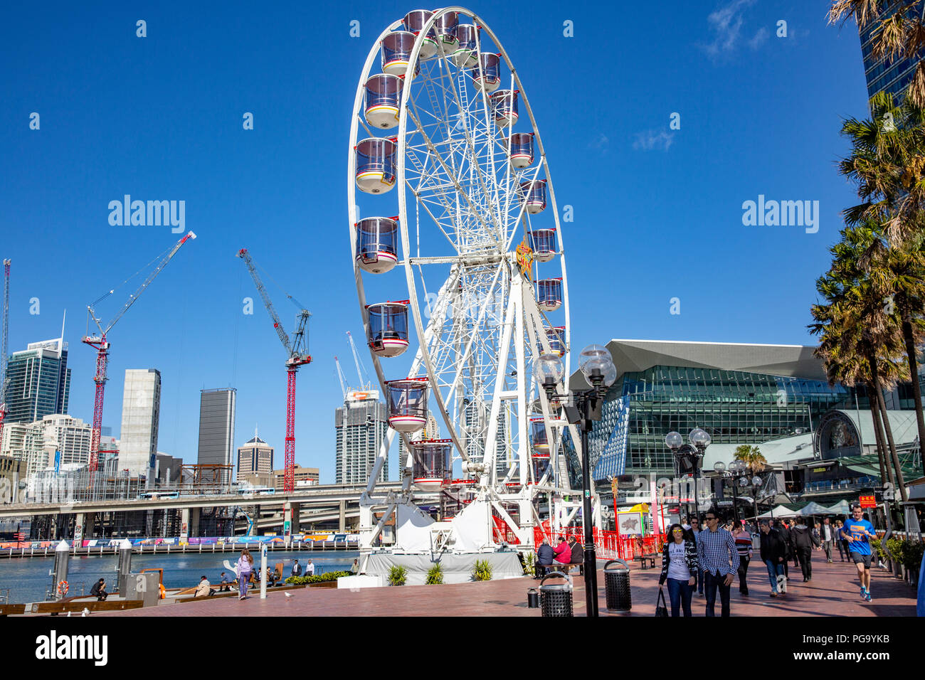 Ruota Gigante in Darling Harbour,centro di Sydney, Australia Foto Stock