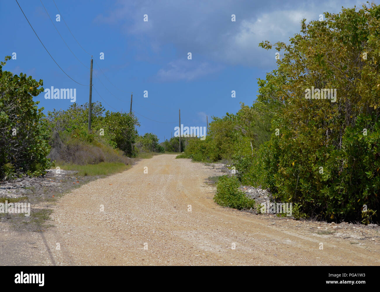 Strada desolata in Little Cayman Foto Stock