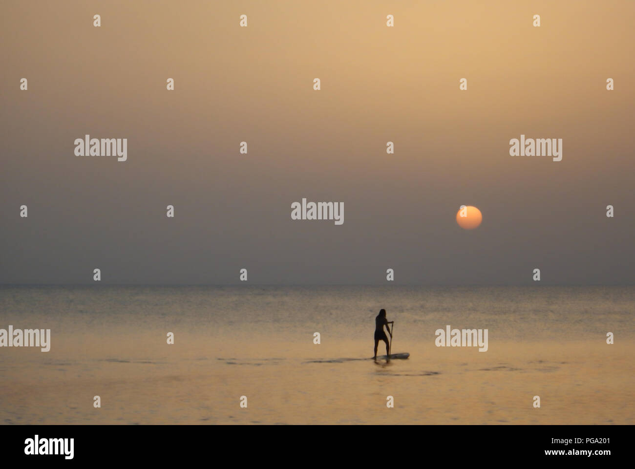 Imbarco a pale al tramonto nel mare dei Caraibi off Seven Mile Beach nelle isole Cayman. Foto Stock