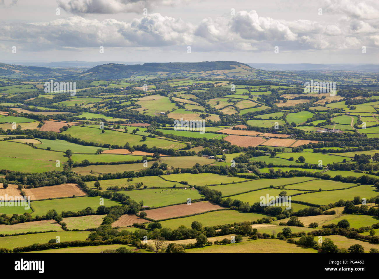 Vista sui campi di patchwork di Herefordshire da Offa's Dyke Percorso su Hatterrall Hill, vicino Pandy, Monmouthshire, Wales, Regno Unito Foto Stock