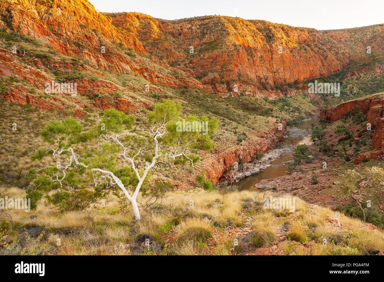 Incredibile Ormiston Gorge in Western MacDonnell Ranges. Foto Stock
