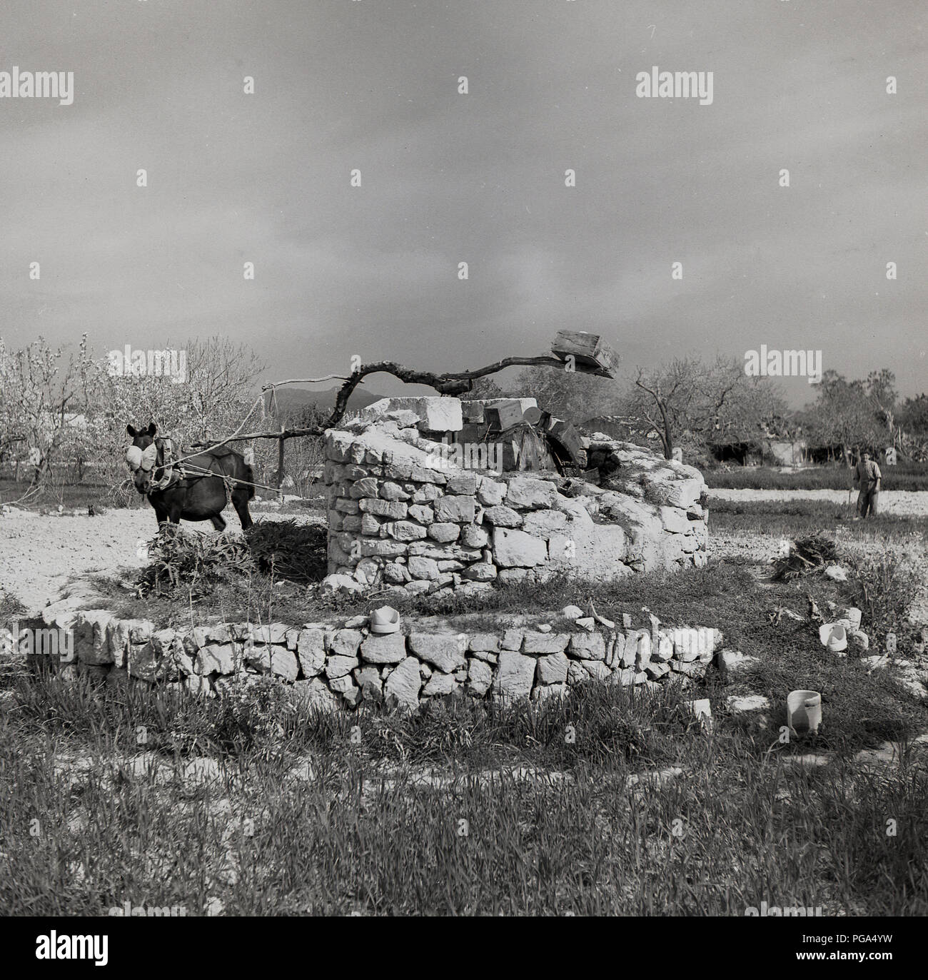 Degli anni Cinquanta, Mallorca, Spagna, foto storiche che mostra un cavallo powered acqua rurale ben. Foto Stock