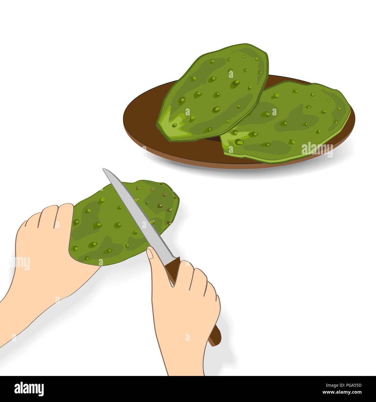 Verde commestibile foglie di cactus o nopales su sfondo bianco. Disegnata a mano illustrazione vettoriale adout preparazione alimentare di cactus. Il fico d'India Pale di cactus in h Illustrazione Vettoriale