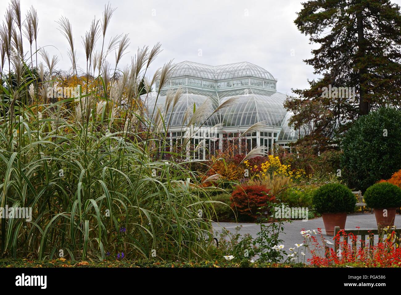 Il Enid A. Haupt Conservatory (1902) in New York Giardino Botanico, è stato modellato dopo la Casa delle Palme presso il giardino botanico reale di Kew, Inghilterra. Foto Stock