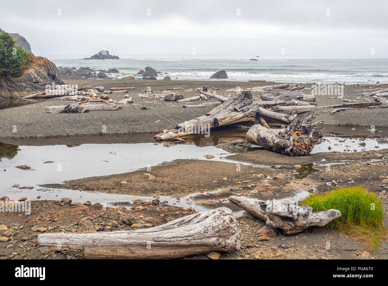 Driftwood su Wilson Creek spiaggia lungo falso Klamath Cove. Redwood National e i parchi statali della California del Nord, Stati Uniti d'America. Foto Stock