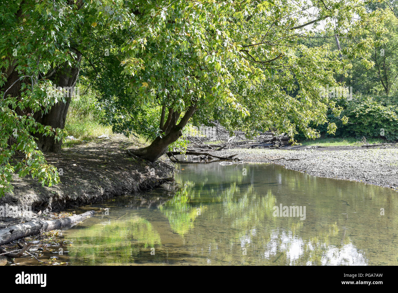 Scena tranquilla sul fiume Susquehanna, nello stato di New York Foto Stock