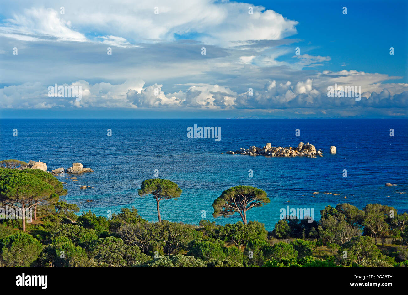 Baia di Palombaggia con mare blu turchese, Porto Vecchio, Corse-du-Sud dipartimento, Corsica, Francia Foto Stock