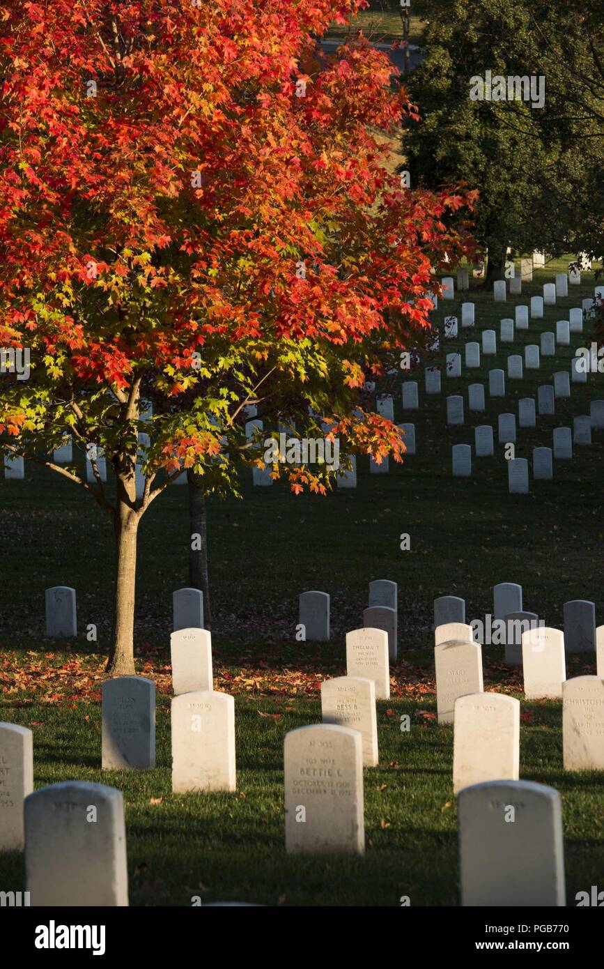 In autunno il Cimitero Nazionale di Arlington (30140633373). Foto Stock