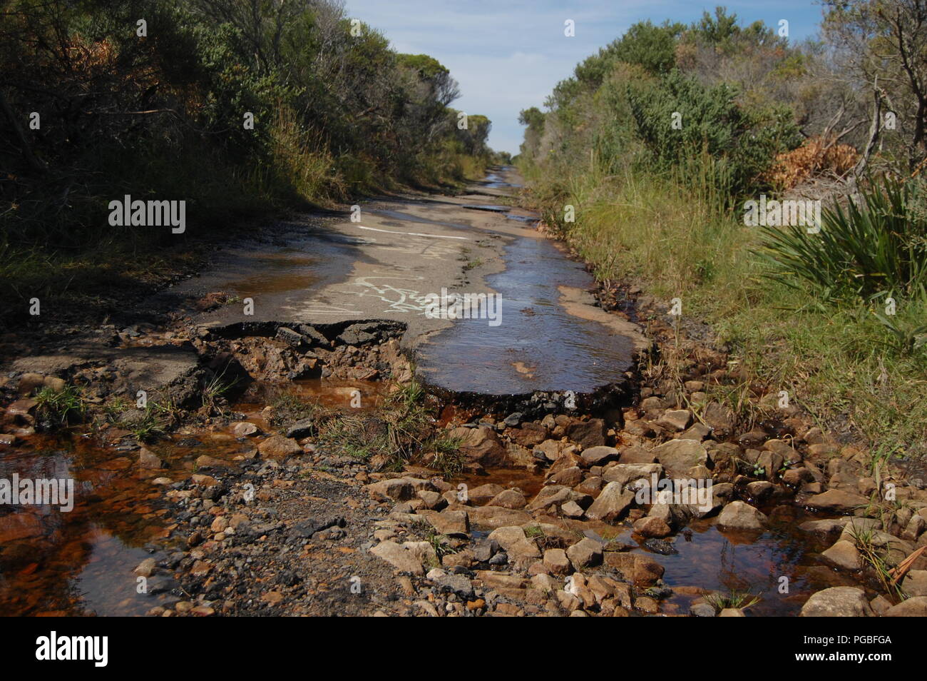 Il Malabar promontori, Sydney, Australia Foto Stock