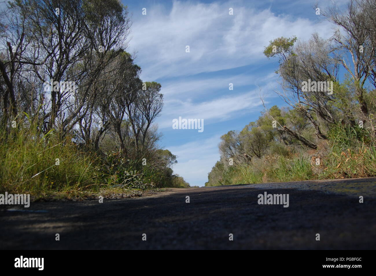 Il Malabar promontori, Sydney, Australia Foto Stock