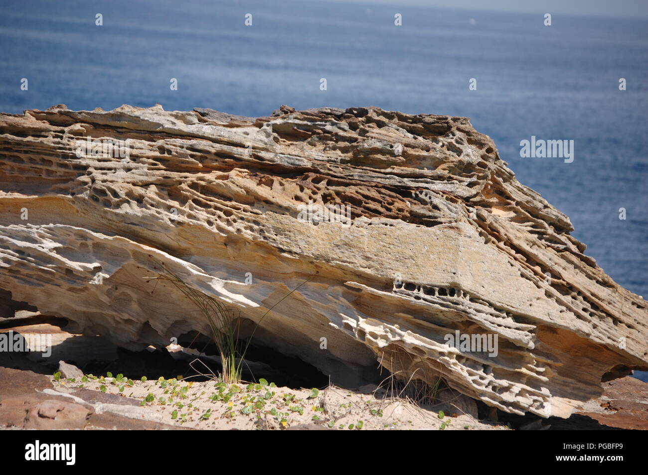 Il Malabar promontori, Sydney, Australia Foto Stock