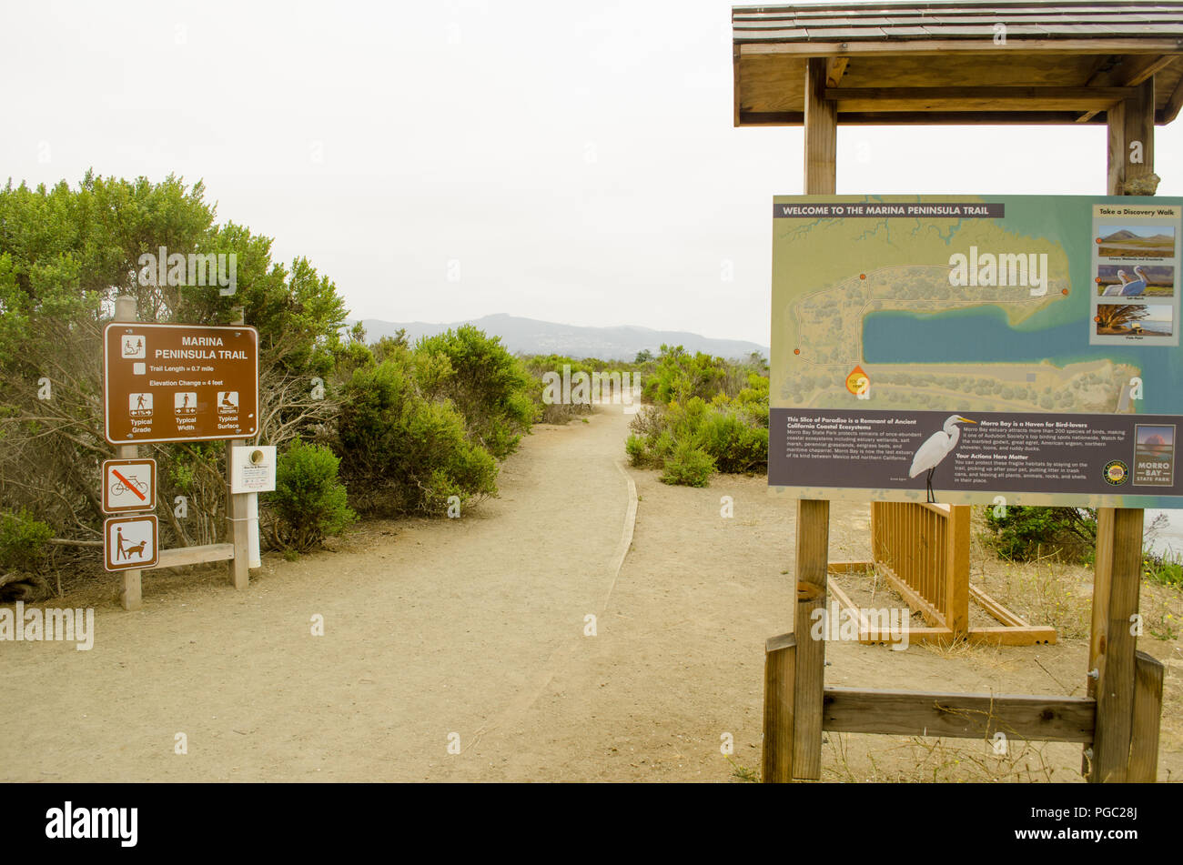 La foresta Foliatile lungo la Marina Penisola Trail a Morro Bay State Park. Il sentiero si aggira attraverso l'estuario e foresta foliatile iear il porto. Foto Stock