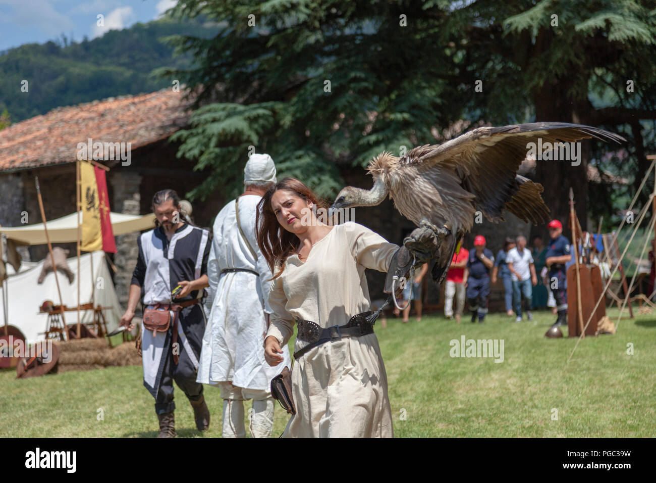 Un assistente falconer portando un uccello da preda al momento del medioevo una spettacolo di falconeria, a Barga (Toscana - Italia). Con Assistente de fauconnier, à Barga. Foto Stock