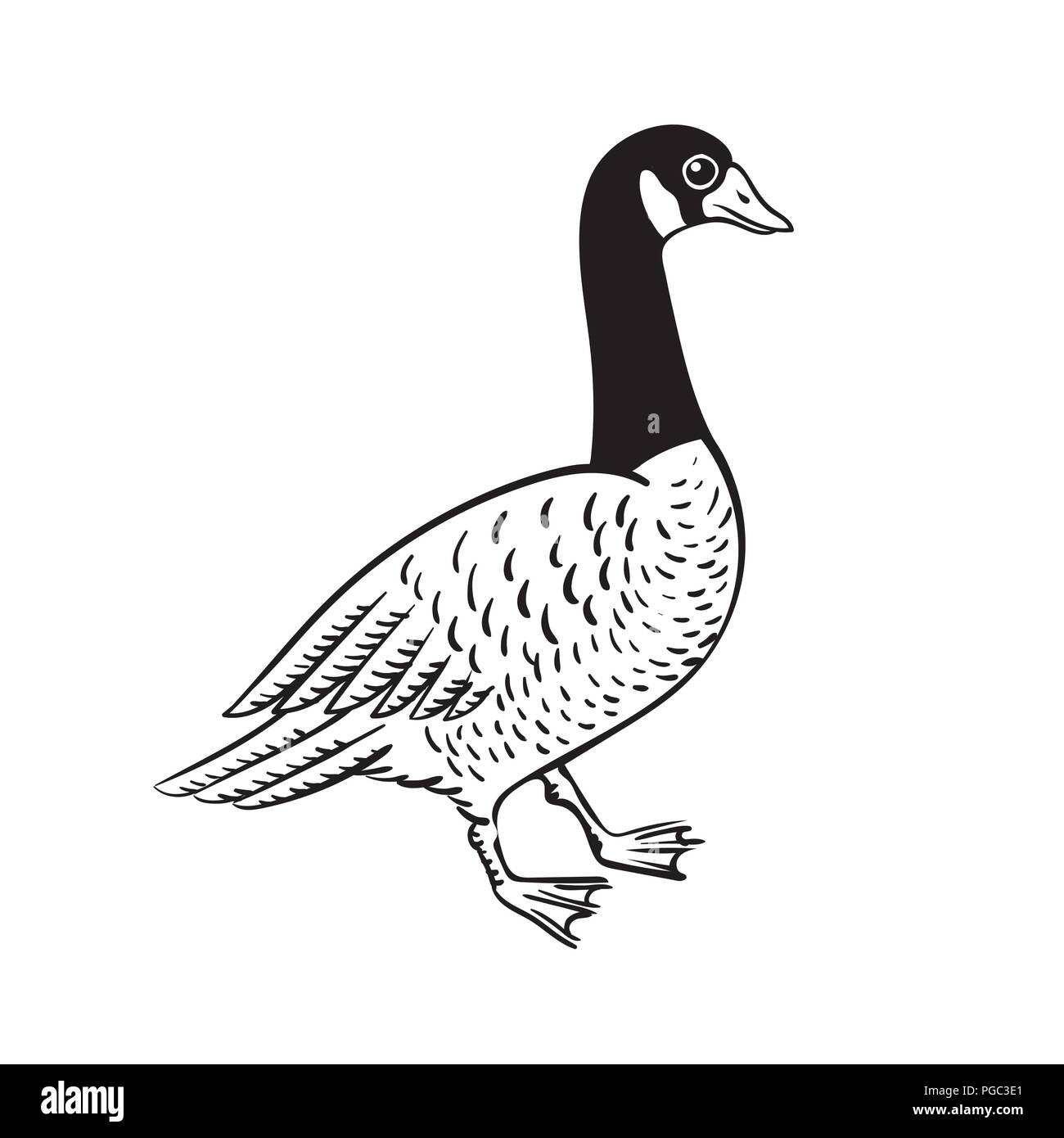 canada goose logo vector