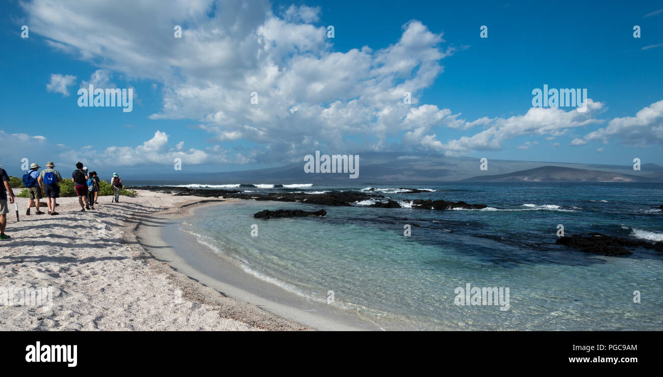 Un gruppo di turisti a piedi su una spiaggia nelle isole Galapagos. Foto Stock
