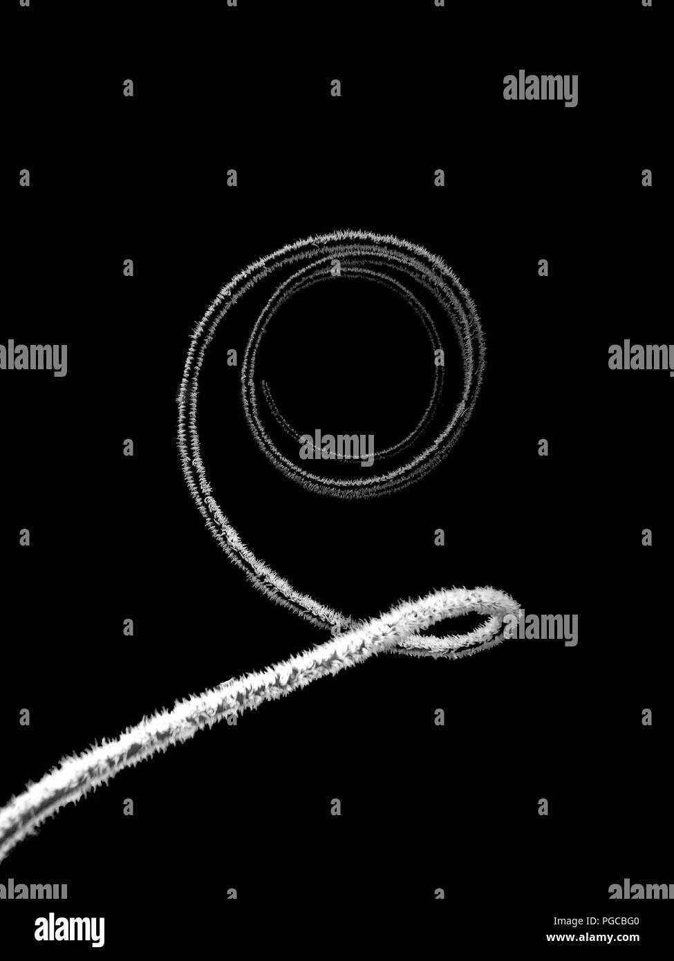 La bellezza del mondo sottomarino a Sabah. Foto Stock