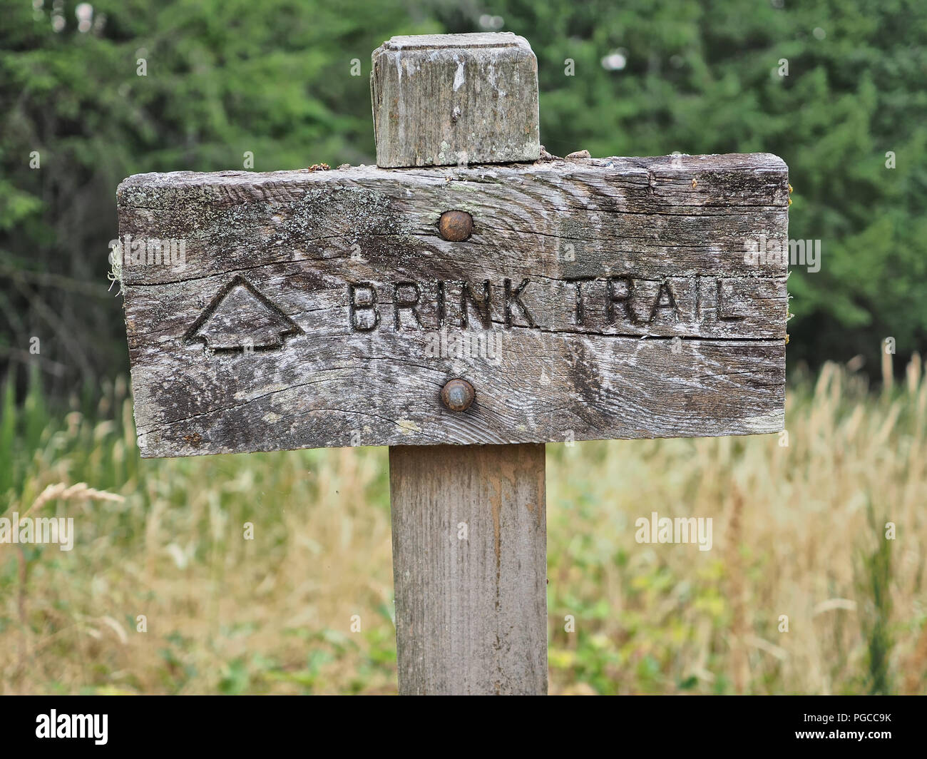 Cartello "Trink Trail", Tiger Mountain, Washington state, USA Foto Stock
