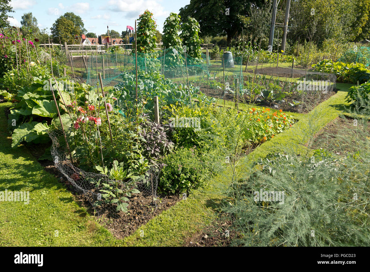 Un riparto rurale giardino con frutta e verdura in crescita, in tarda estate. Foto Stock