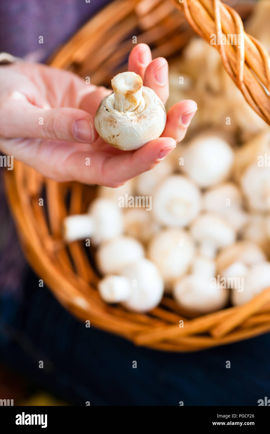 La donna la raccolta di funghi in basket Foto Stock
