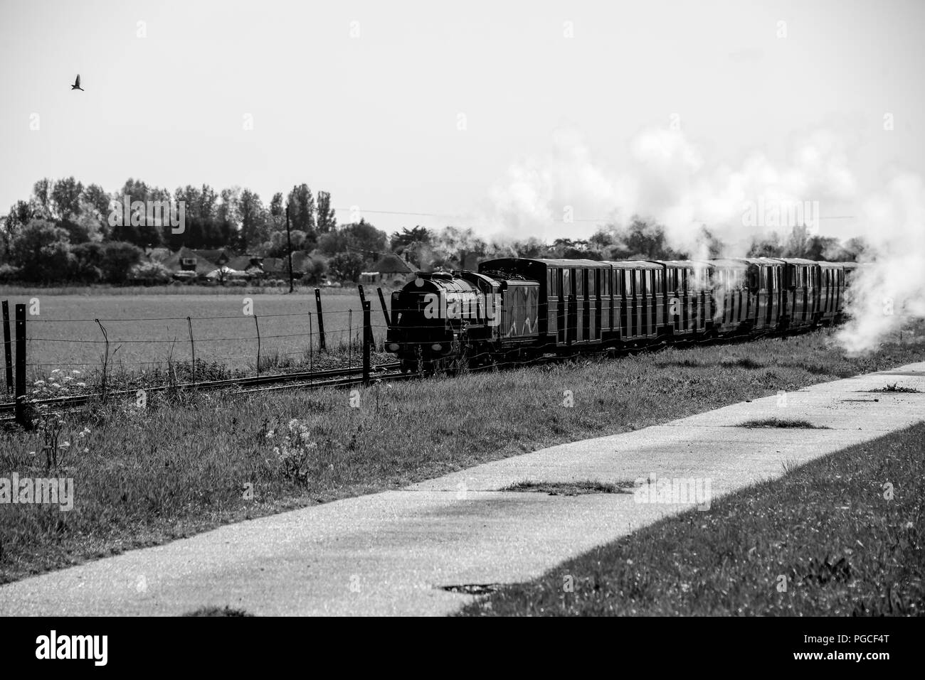 A scartamento ridotto i treni a vapore sono utilizzati principalmente come attrazione turistica in molti luoghi nel Regno Unito Foto Stock