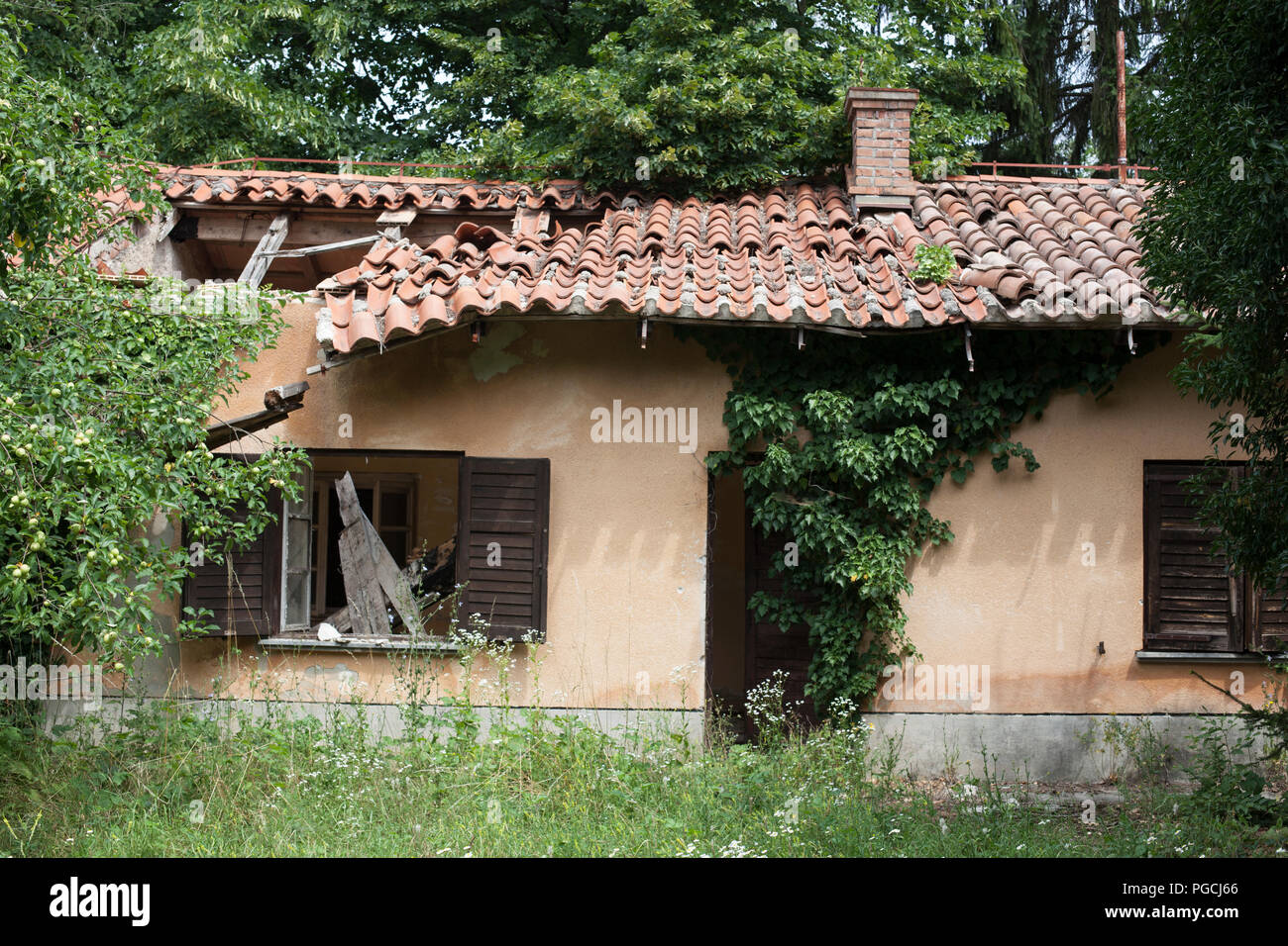 Una vecchia casa in mezzo al bosco, con tetto rotto e ricoperta di edera Foto Stock