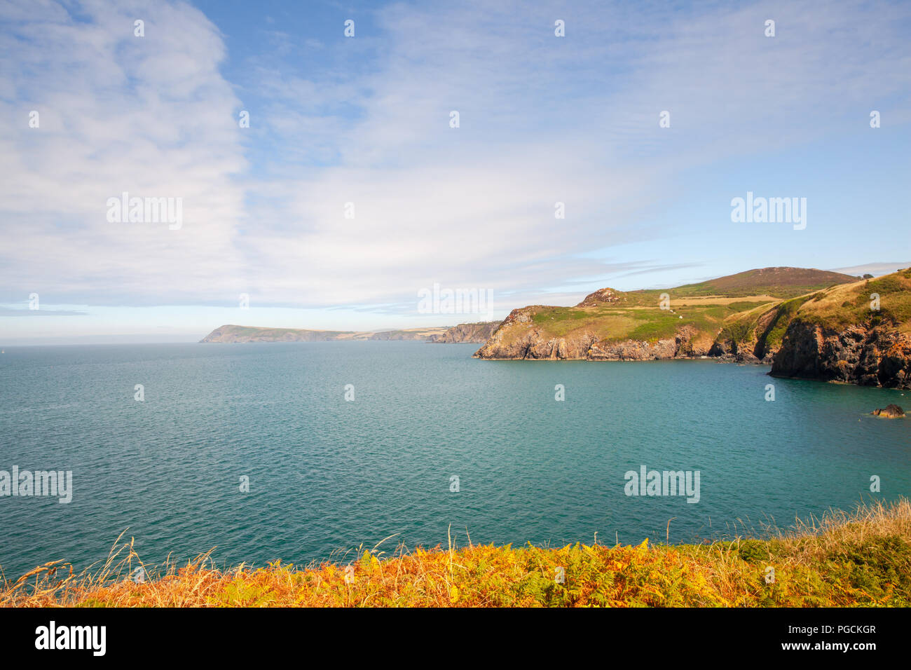 Wales coast Path Fishguard paesaggio litorale su un equo giorno di estate Viaggi natura Regno Unito Foto Stock