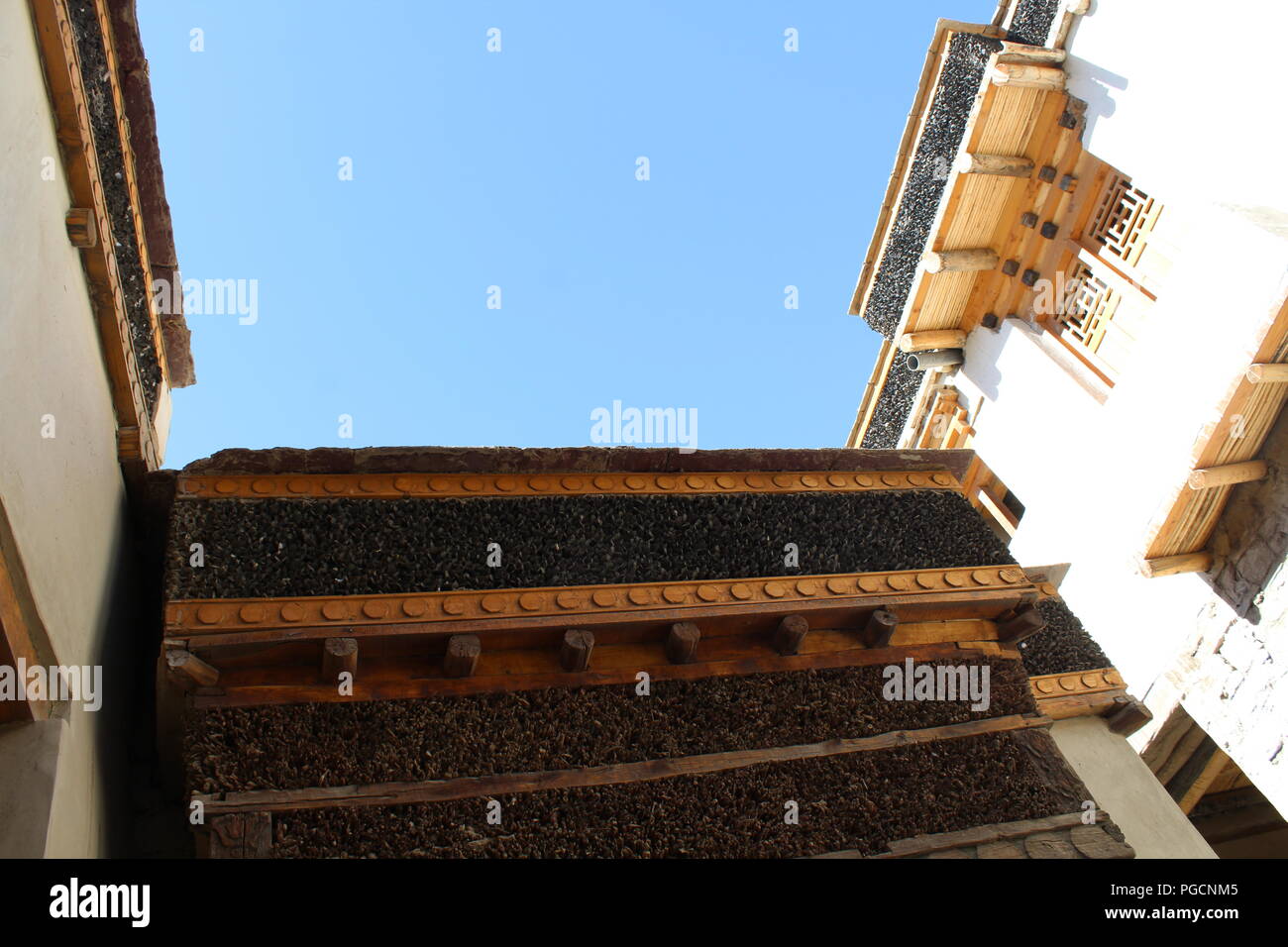 Grande Kashmir indiano Valley. Foto Stock