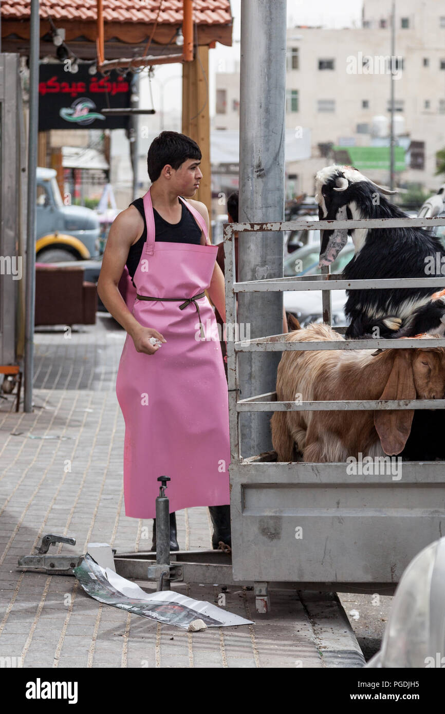 Hebron, Palestina, Giugno 4, 2014: un giovane macellaio palestinese è impegnativo una capra che fu portato al suo negozio per essere macellati. Foto Stock