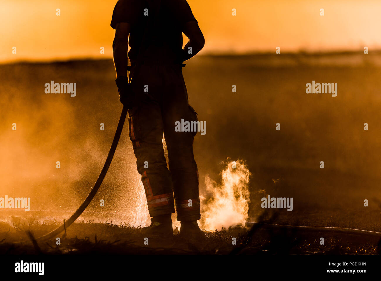 Fire fighter stagliano contro il tramonto smorza verso il basso la massa calda per evitare di scottarvi attraverso le manichette antincendio durante il Saddleworth Moor incendi Foto Stock