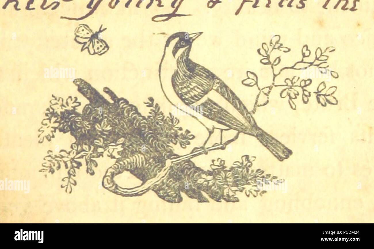 Immagine dalla pagina 165 di "Saggi sul progresso del principio vitale dal vegetale ai regni animale e l'anima dell'uomo, a introduttiva contemplations sulla divinità. MS. Note [dall'autore]' . Foto Stock