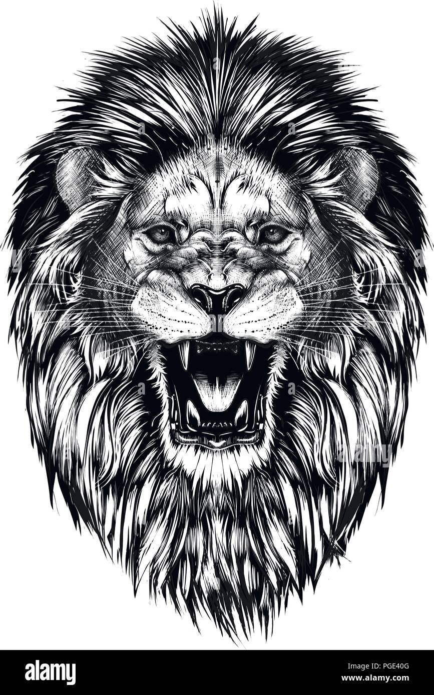 Mano bozzetto di testa leone in isolato nero su sfondo bianco. Illustrazione Vettoriale