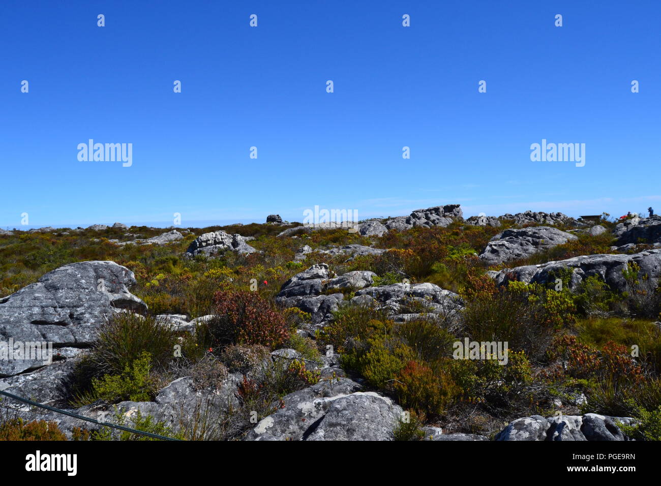 La Table Mountain è 1 dei famosi punti di riferimento di Cape Town. Si tratta di un necessario vedere per i turisti e per i cercatori di avventura. Per saperne di più su marybee719.blogspot.com Foto Stock