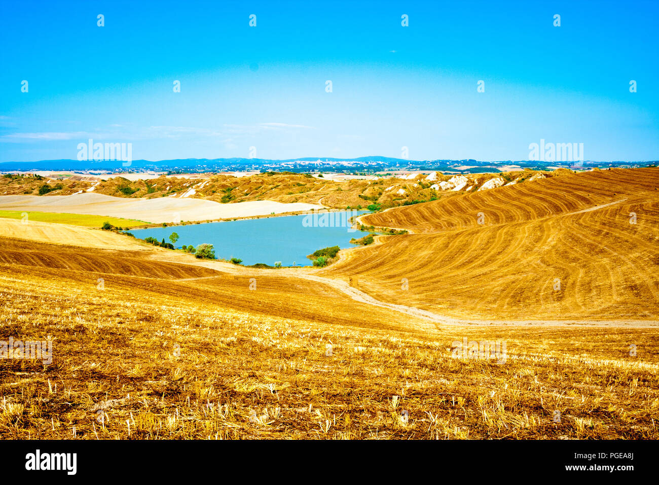 Il lago in Crete Senesi (Crete Senesi) in estate vicino a Siena in Toscana, Italia Foto Stock