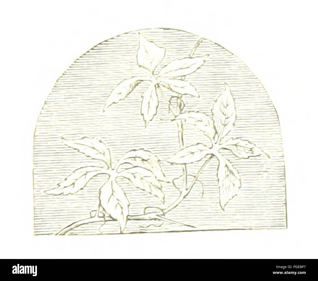 Immagine dalla pagina 315 di "opere poetiche di Robert Burns. Modificato, con un ricordo critico, da William Michael Rossetti. Illustrato da John Moyr Smith' . Foto Stock