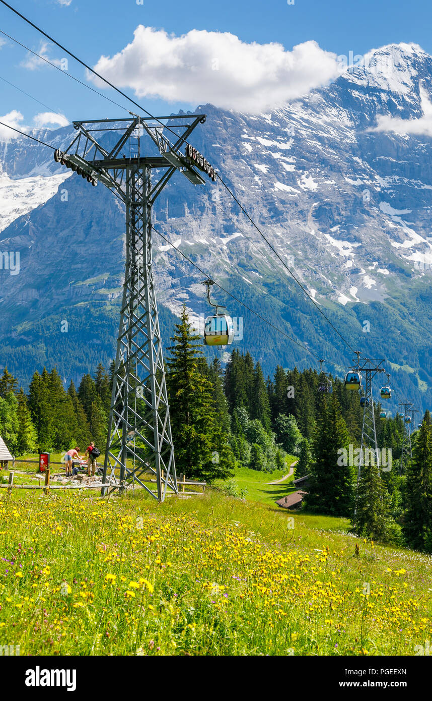 Grindelwald per primo in gondola per Bort mid-stazione, pieno di fiori e prati del Monte Eiger e Jungfrau regione dell'Oberland Bernese, Svizzera Foto Stock