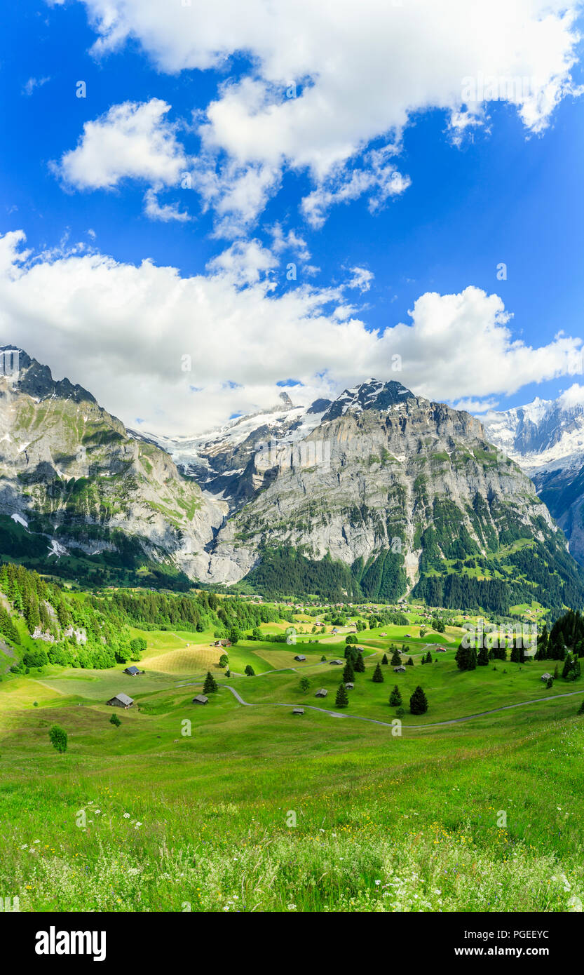 Vista dal primo a Grindelwald e il Wetterhorn e Schreckhorn montagne nella regione della Jungfrau dell Oberland Bernese, Alpi, Svizzera Foto Stock