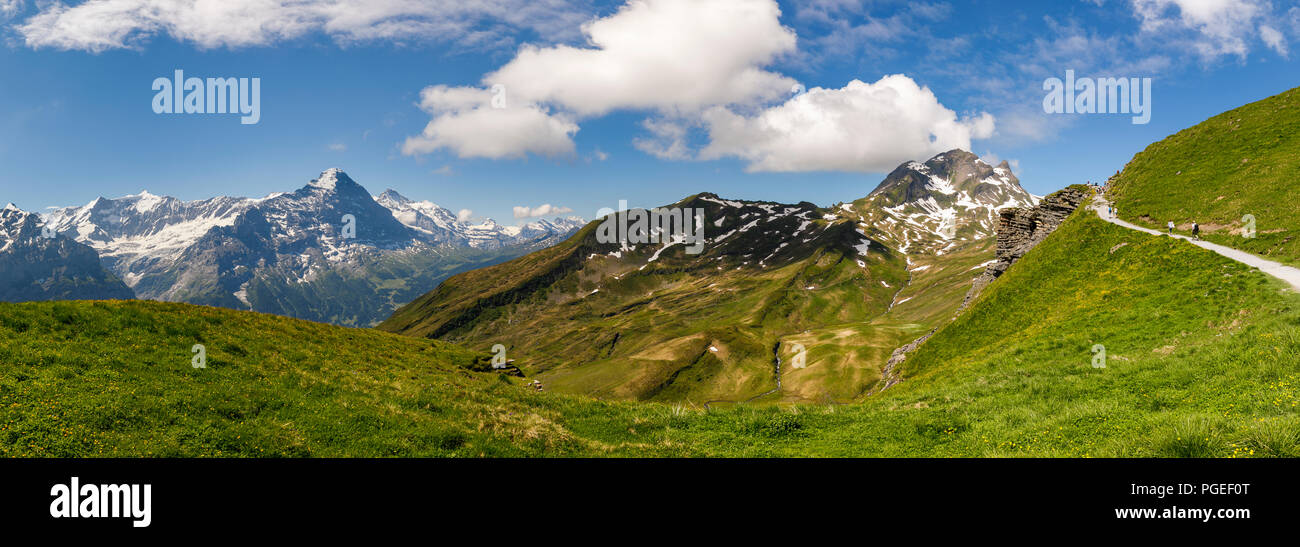 Passeggiate in Grindelwald-First nella regione di Jungfrau dell Oberland Bernese, Alpi, Svizzera con vista del Monte Eiger Foto Stock
