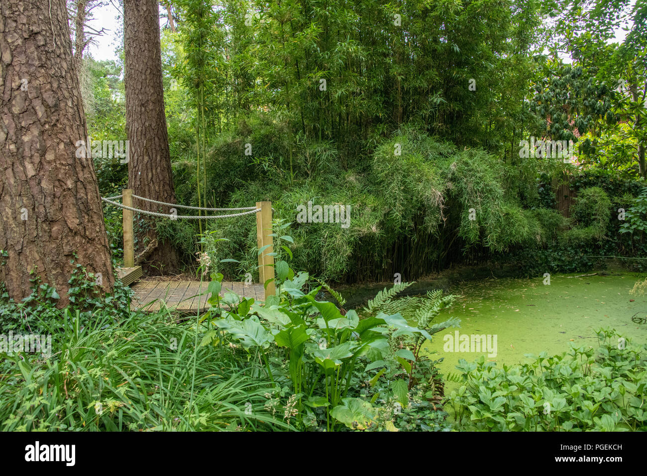 Compton Acres Garden, Dorset, Regno Unito Foto Stock